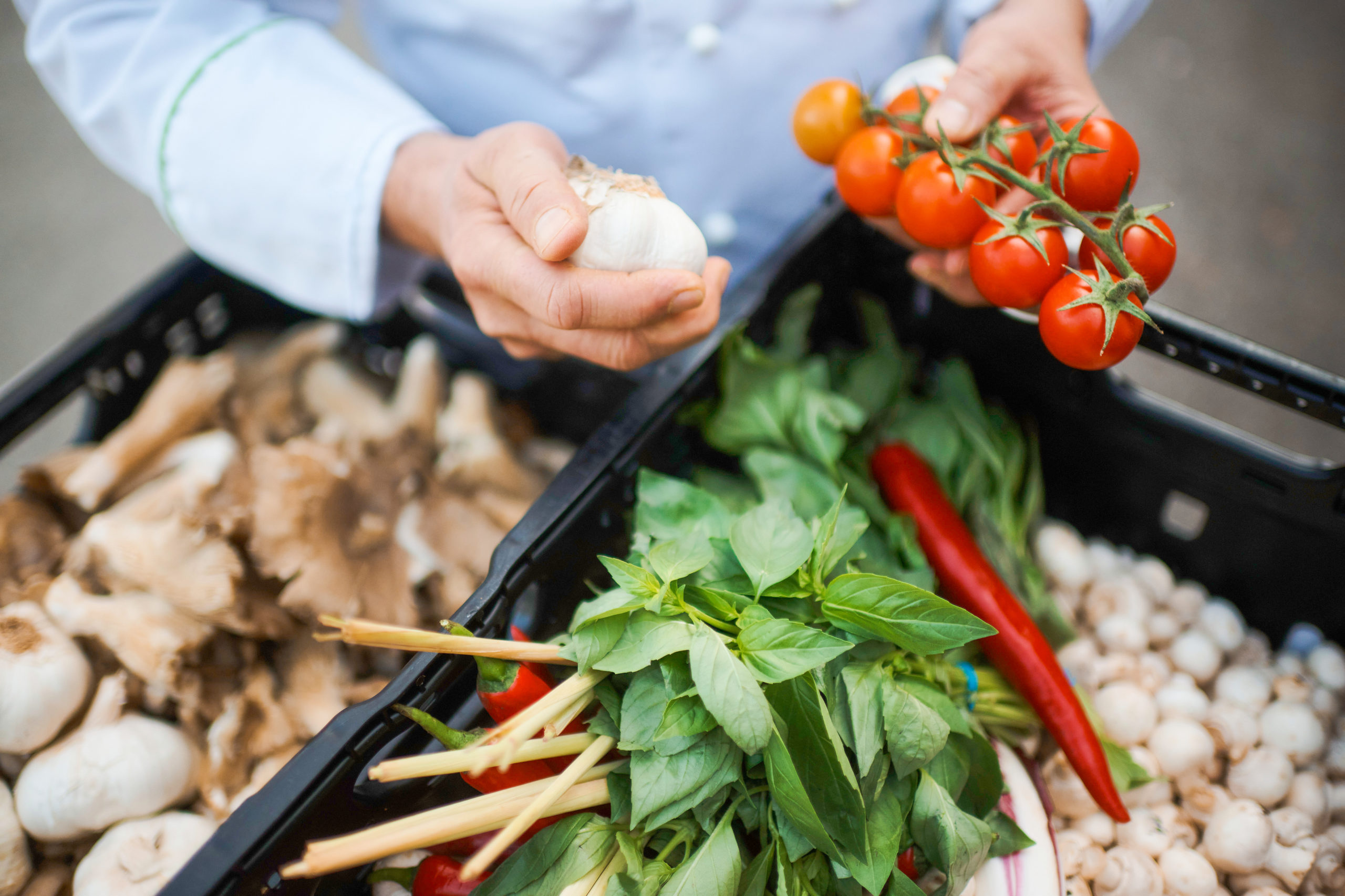 Une personne qui choisit des légumes