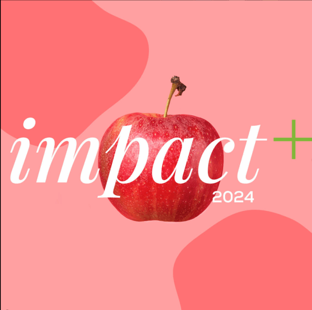 Impact Bericht 2024